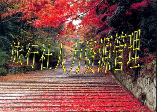 河南省某旅行社人力资源管理问题探析